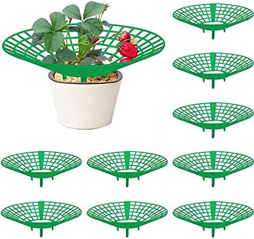 Suporte Gionar para Plantas de Morango 10 Unidades GIONAR - Gaiolas e suportes para plantas - suporte, plantas, morango, 10 unidades