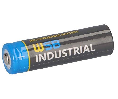Pilha Recarregável WSB 0006-0010 (Recondicionado Como Novo) WSB Battery - Baterias de uso geral - lítio-ferro fosfato, 600 mah, recarregável