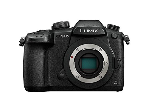 Máquina Fotográfica Mirrorless PANASONIC DC-GH5 (20.3 MP - ISO: 100 a 25600) Panasonic - Câmeras - 20.3 mp, iso 100-25600, mirrorless