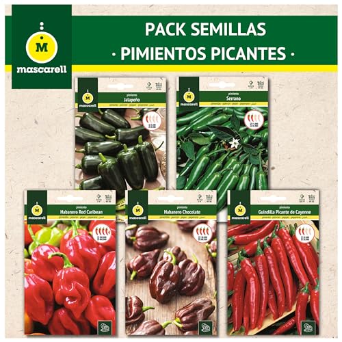 Sementes Picantes Mascarell (Recondicionado Como Novo) Semillas Mascarell S.L. - Sementes - sementes picantes, mascarell, recondicionado