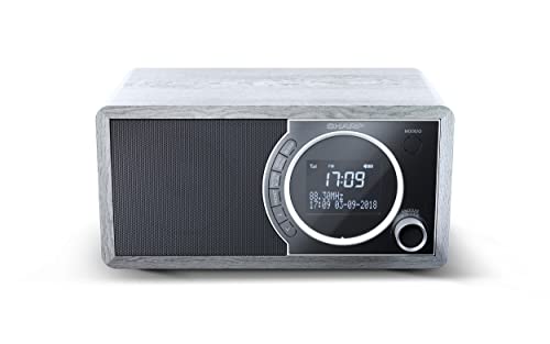Sharp DR-450 GR rádio Relógio Cinzento Sharp - Áudio - sharp, dr-450, gr, rádio, relógio, cinzento