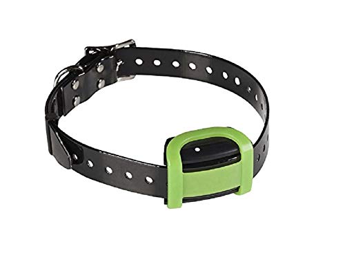 Trela para Cães NUMAXES (Preto - Espuma - Tamanho: M) NUM'AXES - Coleiras e arnês para animais de estimação - preto, espuma, tamanho m