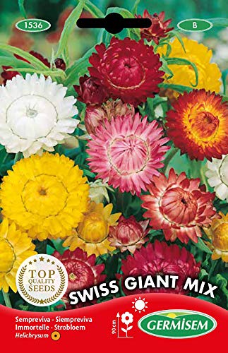 Sementes de Flores GERMISEM Swiss Giant Mix (0,75g) GERMISEM - Sementes - flores, germinação, arranjos secos