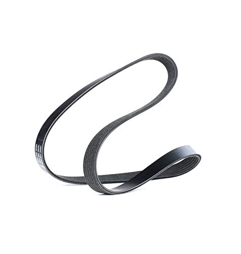 Correia de Muda para Cortador de Relva DAYCO 6PK1090EE Dayco - Variadores de frequência e velocidade ajustável - aço, 2 m, 1 peça