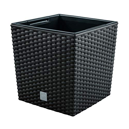 Plantador RATO 15,8 LITROS COM BALDE DE PLANT Prosperplast - Vasos e canteiros - plantador, rato, 15.8 litros, balé