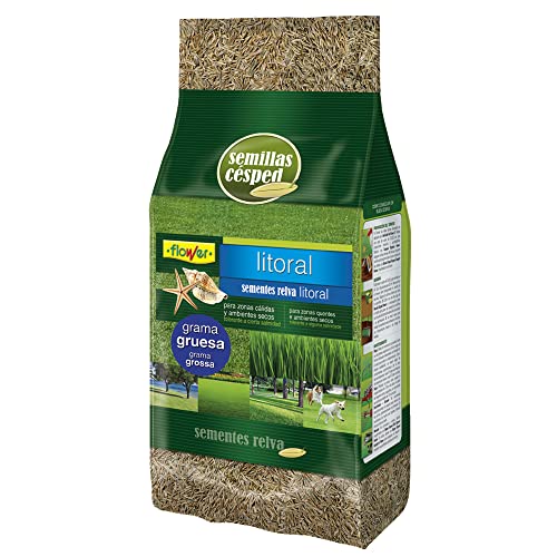 Sementes de Grama Litoral Flower 1Kg (Recondicionado Como Novo) Productos Flower SA - Sementes - grama, litoral, 1kg