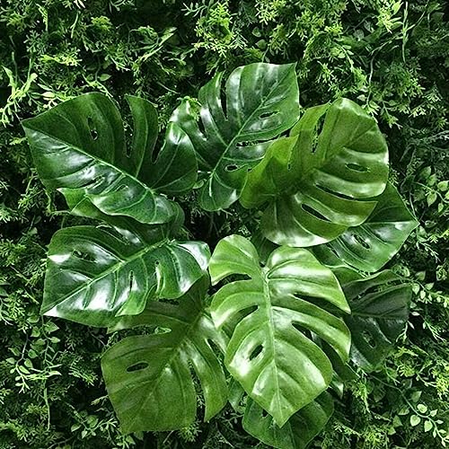 Sementes de Monstera Luojuny 50 Unidades (Recondicionado Como Novo) Luojuny - Lâmpadas de plantas e flores - sementes, monstera, 50 unidades