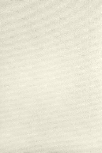 Papel Impressão NETUNO 100X Carton Marfim (297x210mm) Netuno - Papel de impressora e copiadora - 100x carton, marfim, 297x210mm, 120g/m2