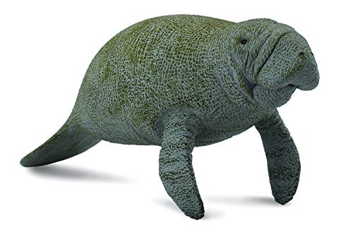 Figura de Ação COLLECTA Lamantin (Idade Mínima Recomendada: 3 anos) Collecta - Bonecos de ação e brinquedo - figura, ação, lamantins, pvc, cinzenta, azul