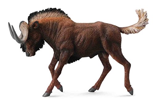 Figura de Brincar BLACK WILDEBEEST (Idade Mínima Recomendada: 3 anos) Collecta - Bonecos de ação e brinquedo - brincar, idade mínima 3 anos, conjunto