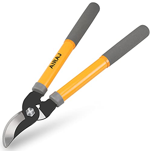 Tesoura de Podar 38,5 cm Ligeras (Recondicionado Como Novo) Qingdao Qingqing Hardware Tools Co., Ltd. - Tesouras de poda - tesoura, podar, 38.5 cm, ligeras