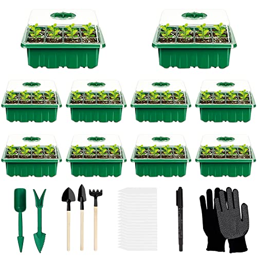 Bandeja para Sementes 10 Unidades com Alveolos (120) ROEXUN - Agricultura - 10 unidades, alveolos, plástico resistente