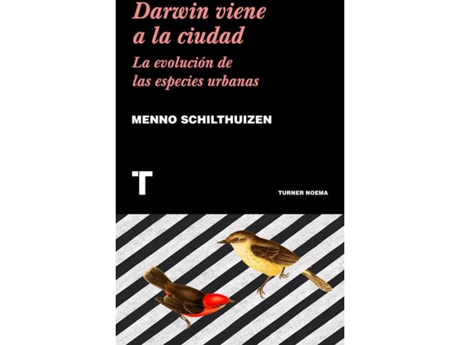 Livro Darwin Viene A La Ciudad de Noema (Espanhol) TURNER PUBLICACIONES S.L. - Livros - livro, darwin, viene, cidade