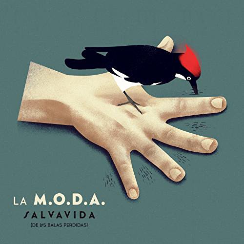 DVD Salvavida (Edição em Espanhol) (Vídeo) Altafonte - Música e gravações de som - dvd, salvavida, edição espanhola