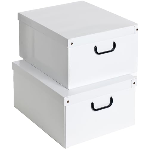 Conjunto de 2 Caixas Organizadoras KANGURU Branco Lavatelli Srl - Caixas de mudança e envio - 2 caixas, fecho metálico, L40 x A19 x P26 cm