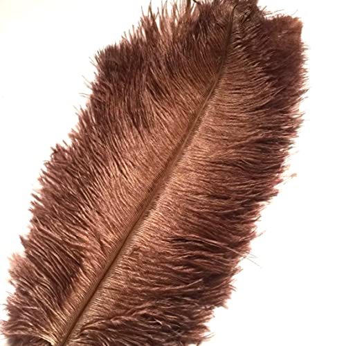 Plumas de Avestruz CRENZE 10 Unidades Castanho shenzhenshi chuangqianhuikeji youxiangongsi - Enfeites e acabamentos - plumas, avestruz, 10 unidades, castanho