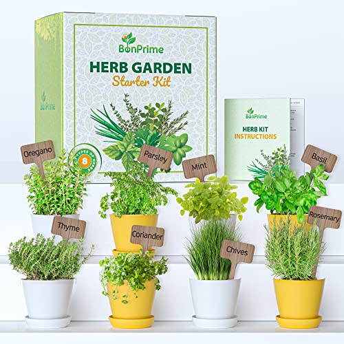 Kit de Cultivo de Ervas Aromáticas BONPRIME BonPrime - Kits de cultivo de plantas e ervas - kit, cultivo, ervas aromáticas