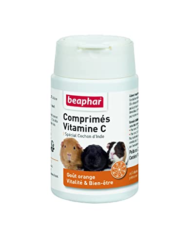 Comprimidos de Vitamina C para Porquinhos da Índia 100g BEAPHAR Beaphar - Vitaminas e suplementos para animais de estimação - vitamina c, ossos, dentes, musculares