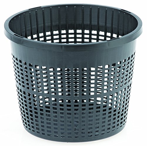 Caixa de Plantas Decorativas OASE 13 Rund Oase - Vasos e canteiros - decorativa, rund, 13 litros