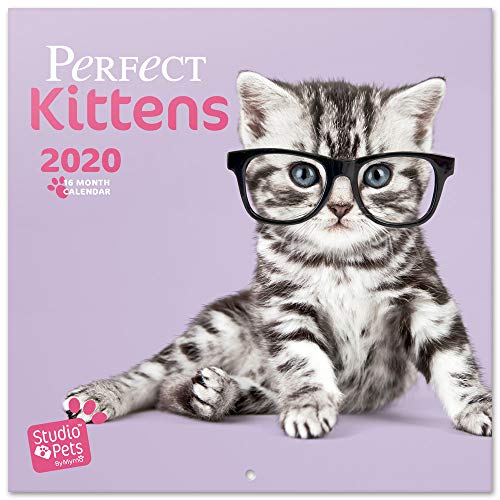Calendário ERIK EDITORES de Parede 2020 Studio Pets Gatinhos ERIK - Calendários, organizadores e planejadores - calendário, parede, studio pets, gatinhos