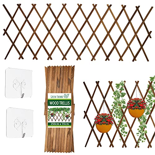 Vedação de Treliça Verde Thumbz 250X35Cm Green Thumbz - Arcos de jardim, treliças, caramanchões e pérgulas - verde, pvc, 250x35cm