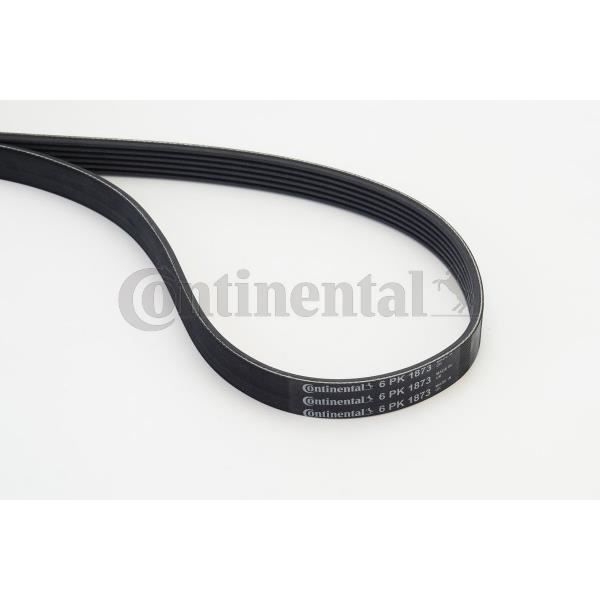 Correia de Acessórios CONTITECH 6PK1873 CONTITECH - Variadores de frequência e velocidade ajustável - transmissão, adesão, alternadores, ventiladores