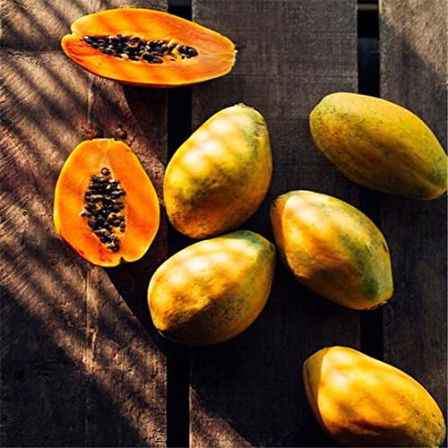 Sementes de Frutas e Legumes HALOPPE 100 Unids Sementes de Fruta de PAPAYA Haloppe - Lâmpadas de plantas e flores - papaya, fácil de cultivar, sem gmo