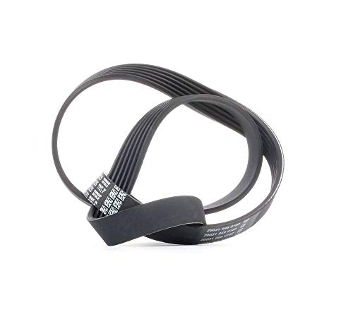 Correia para Cabo de Rolo DAYCO 6PK1125 (Polipropileno) Dayco - Peças do motor do veículo automóvel - polipropileno, correia para cabos, correia para cabos de rolo