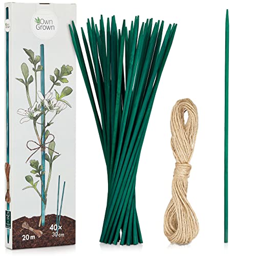 Suporte para Plantas Verticais OWN GROWN 20M Verde OwnGrown - Móveis de exterior - bambu, verde, 30x1000x30cm