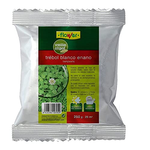 Sementes de Gramíneo TRÉBOL ENANO BRANCO (250 g) FLOWER - Sementes - 250g, trébol branco, resistente, sol parcial