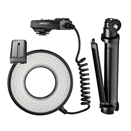 Kit Estúdio WALIMEX 20951 (Flash - 2.5 x 3.8 m) Walimex - Flashes de câmera - kit estúdio, flash, 2.5x3.8m