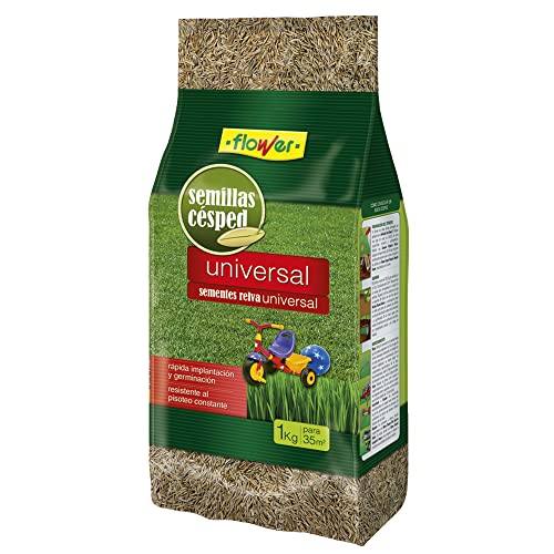 Sementes de Gramíneo Universal 1Kg Flower FLOWER - Sementes - gramíneo, 1 kg, universal