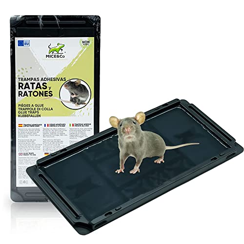 Mata-Ratos MICE&CO Adesivo (2 Unidades) Mice&Co - Armadilhas de controle de pragas - adesivo, 2 unidades