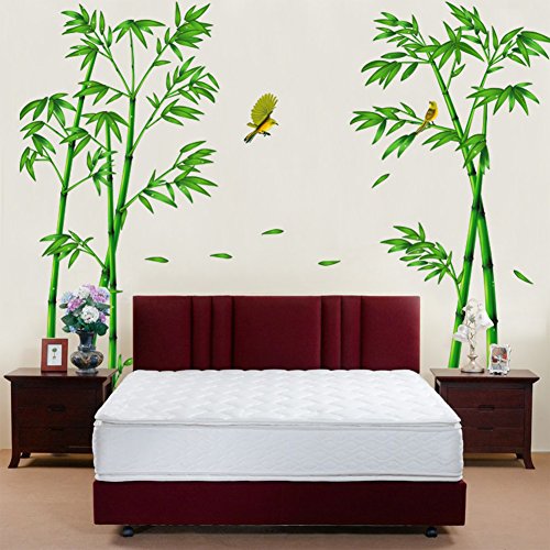 Autocolantes Decorativos WALLYPARK Grande Verde (Bambu) Yingdong - Papel de parede - grande, verde, removíveis, transparente
