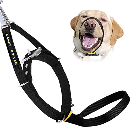 Coleira para Cães CANNY (Preto - 43-48x7 cm) The Canny Company - Coleiras e arnês para animais de estimação - preto, cão, 43-48x7 cm