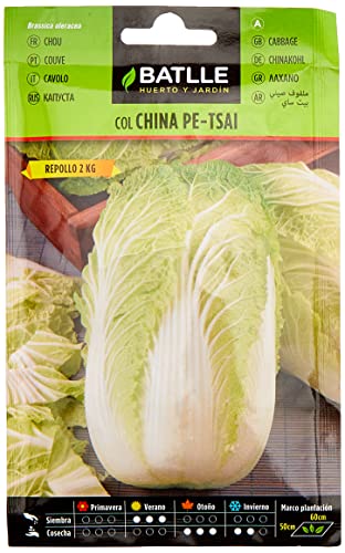 Sementes BATTLE COL CHINA Pet Sai (Pacote de 1.5 g) BATLLE - Sementes - sementes, pacote 1.5g, pet sai