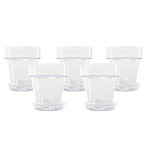 Vaso KALAPANTA Plastico Orquídeas com Furos de Drenagem e Prato Transparente Kalapanta - Vasos e canteiros - plástico, orquídeas, furos de drenagem, prato transparente