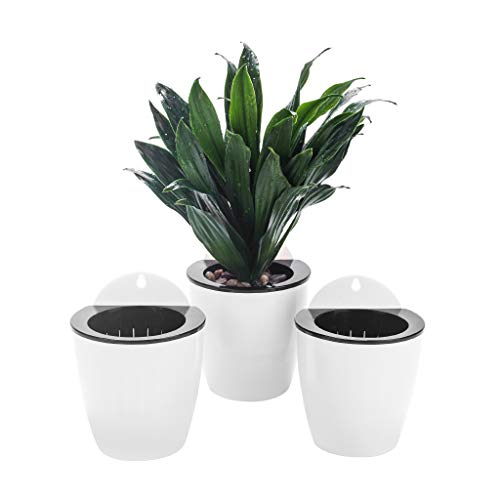 Conjunto 3 Peças de Rega Automática para Pendurar na Parede Orimerc - Vasos e canteiros - rega automática, 3 peças, pendurar na parede