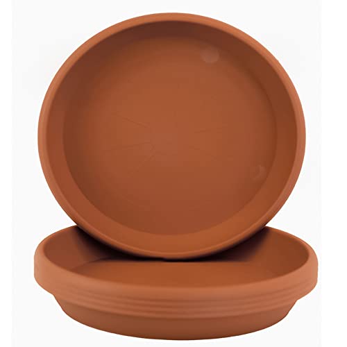 Prato Decorativo HOMEMANIA Redondo Castanho Escuro Ø24Cm Rekpol - Pratos e bandejas para vasos de jardim - plástico, branco escuro, redondo, 2,4 cm