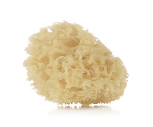 Esponja de Banho Jané Natural (2 Unidades) Jané - Esponjas de banho e buchas - algodão, biodegradable, exfoliante, ovalado