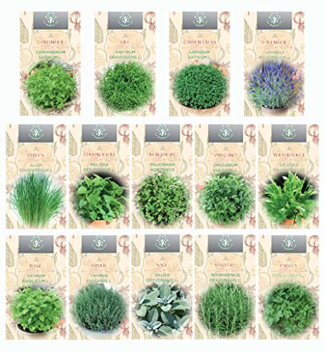 Sementes NOJAUS Seklos (Mistura de Sementes) Nojus - Lâmpadas de plantas e flores - sementes, mistura