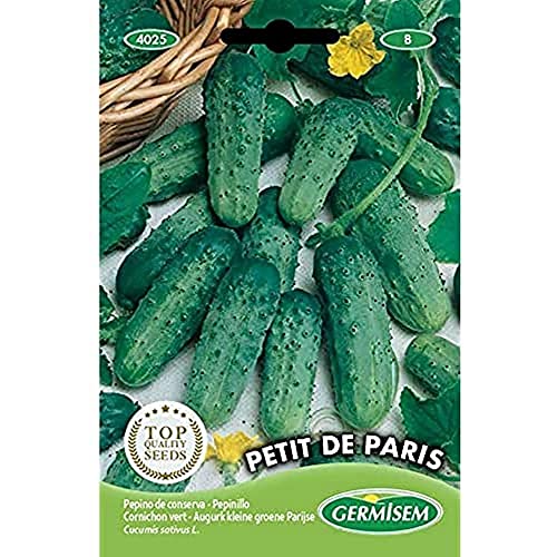 Sementes de pepino para conservas PETIT DE PARIS GERMISEM - Sementes - pepino, conservas, petit de paris