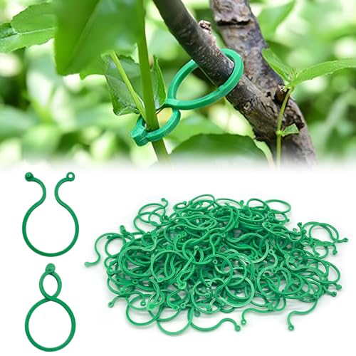 Pinças FELICIAY para Plantas (100 Un) (Plástico - 3.5 x 1.8 cm) Feliciay - Gaiolas e suportes para plantas - plástico, verde, 100 unidades