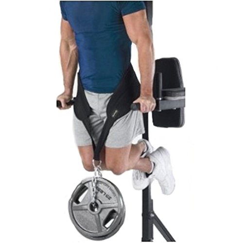 Grofitness Cinto de Manutenção de Halterofilia com Peso 25 kg Grofitness - Treinadores de suspensão - halterofilia, 2,5 kg
