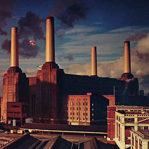 Vinil LP Rhino Animals - 1LP (Vídeo) RHINO - Música e gravações de som - vinil, LP, pink floyd, animals, 1977