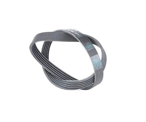 Correia de Acessório para Máquina de Lavar Roupa CONTINENTAL EDISON 5PK880 CONTITECH - Peças do motor do veículo automóvel - correia, acessório, máquina de lavar roupa