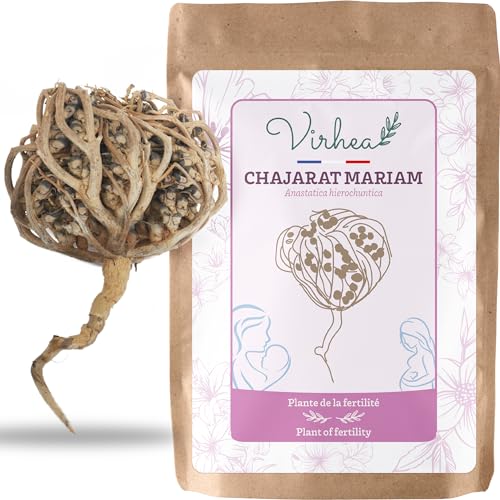 Plantas com Flores para a Fertilidade de Mulheres Vihrea - Sementes - fertilidade, mulheres, rosa de jerico, chajarat mariam, anastatica hierochuntica