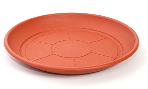 Placa de cerâmica para vasos 47 cm Cor Terra Cotta PAMEX - Pratos e bandejas para vasos de jardim - cerâmica, vaso, mediterrâneo, 47cm, terra cotta