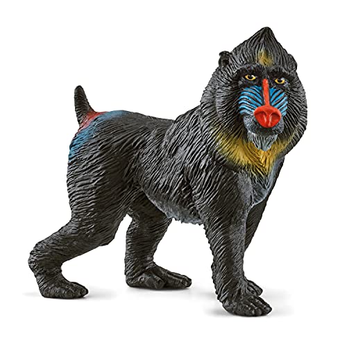 Figura de Brincar SCHLEICH Mandril (Idade Mínima Recomendada: 3 anos) Schleich - Brinquedos - mandril, idade mínima 3 anos, pintadas à mão