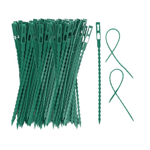 Cordão de Encaixe para Plantas DHS 300 (Verde) DHSBGWSX - Produtos para animais de estimação - polietileno, 170 x 7 mm, verde, 300 unidades